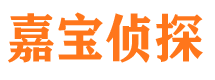 青羊市调查公司